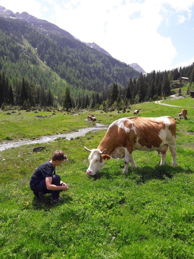 Zirbenchalet Grossglockner 海利根布卢特 外观 照片